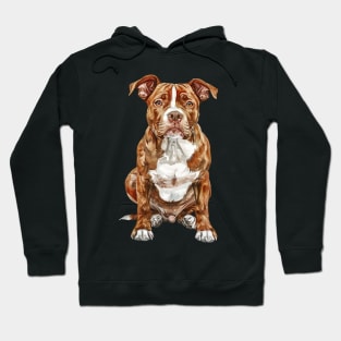 American Staffordshire Terrier Hoodie